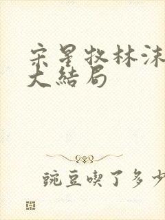 宋星牧林沫小说大结局