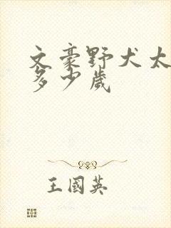 文豪野犬太宰治多少岁