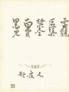 黑白禁区电视剧免费全集观看