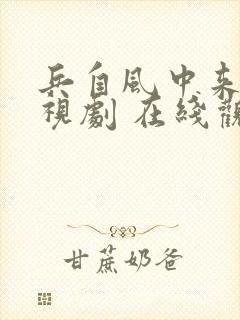 兵自风中来 电视剧 在线观看