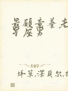 最愿意养老婆的星座男