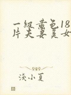 一级黄色18岁片夫妻美女