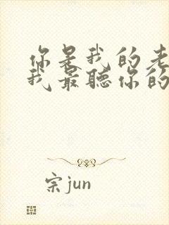 你是我的老大,我最听你的话是什么歌?