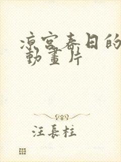 凉宫春日的消失 动画片