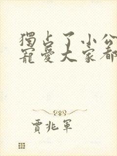 独占了小公主的宠爱大家都为我着迷漫画