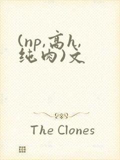 (np,高h,纯肉)文