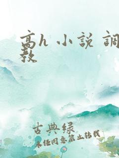 高h 小说 调教