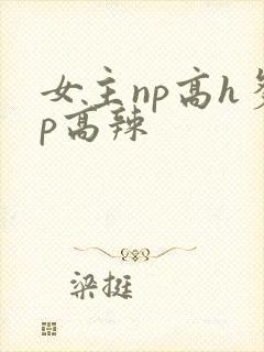 女主np高h多p高辣
