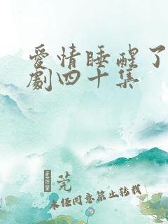 爱情睡醒了连续剧四十集