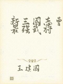 新三国志曹操传最强武将