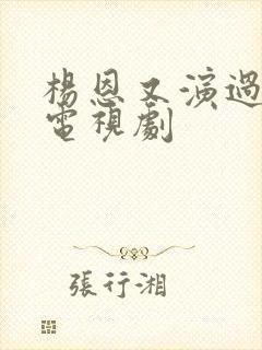 杨恩又演过哪些电视剧