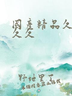 国产精品久久久久久