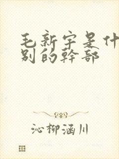 毛新宇是什么级别的干部