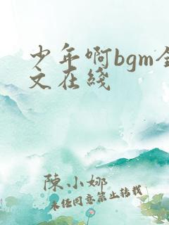 少年啊bgm全文在线