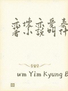 亦坏亦爱泰剧原著小说叫什么