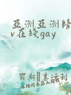 亚洲亚洲精品av在线gay