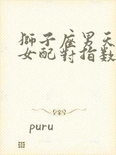 狮子座男天秤座女配对指数