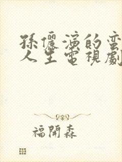 孙俪演的蛮好的人生电视剧