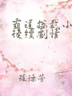 霸道总裁小娇妻后续剧情