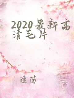 2020最新高清毛片