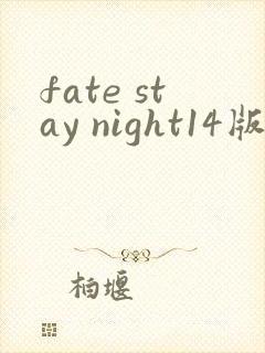 fate stay night14版