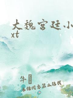 大魏宫廷小说txt