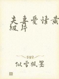 夫妻爱情黄色一级片