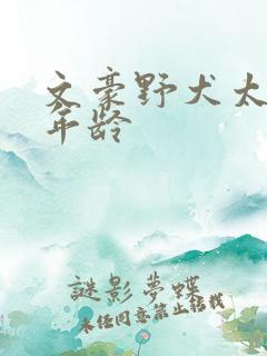 文豪野犬太宰治年龄