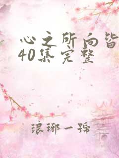 心之所向皆美好40集完整