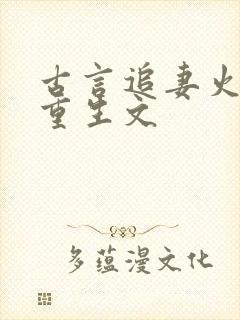 古言追妻火葬场重生文