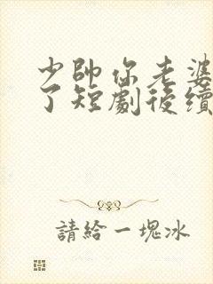 少帅你老婆又跑了短剧后续