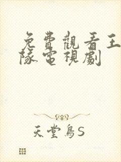 免费观看王牌部队电视剧