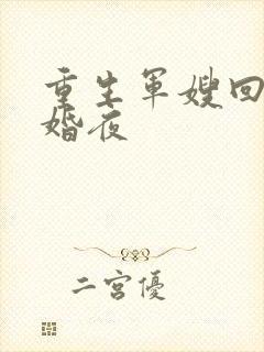 重生军嫂回到新婚夜