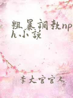 粗暴调教np高h小说