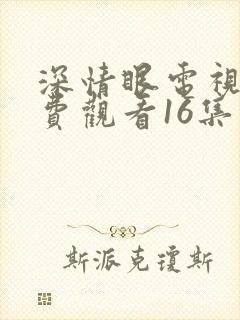 深情眼电视剧免费观看16集