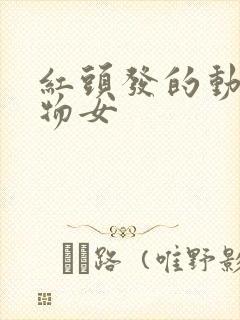 红头发的动漫人物女