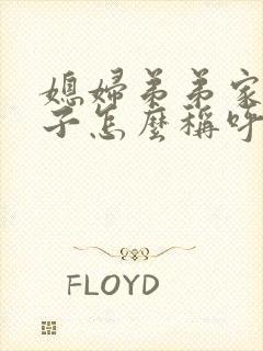 媳妇弟弟家的孩子怎么称呼