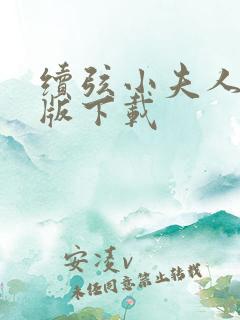 续弦小夫人完整版下载