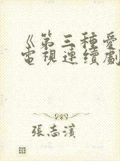 《第三种爱情》电视连续剧