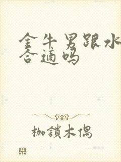 金牛男跟水瓶女合适吗