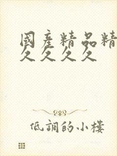 国产精品精品久久久久久