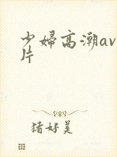 少妇高潮av毛片