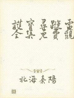 护宝寻踪电视剧全集免费观看高清版