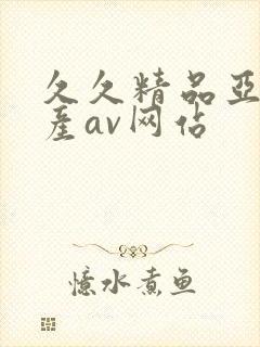 久久精品亚洲国产av网站