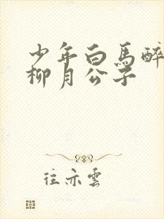 少年白马醉春风柳月公子