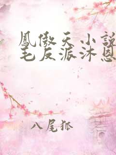 凤傲天小说里黄毛反派沐恩免费
