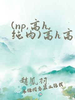 (np,高h,纯肉)高h高辣小说
