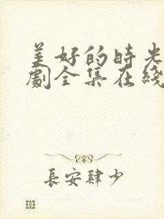 美好的时光电视剧全集在线观看免费