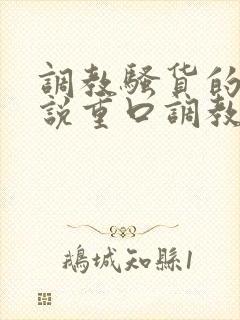 调教骚货的污小说重口调教