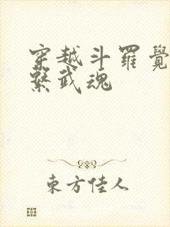 穿越斗罗觉醒冰系武魂